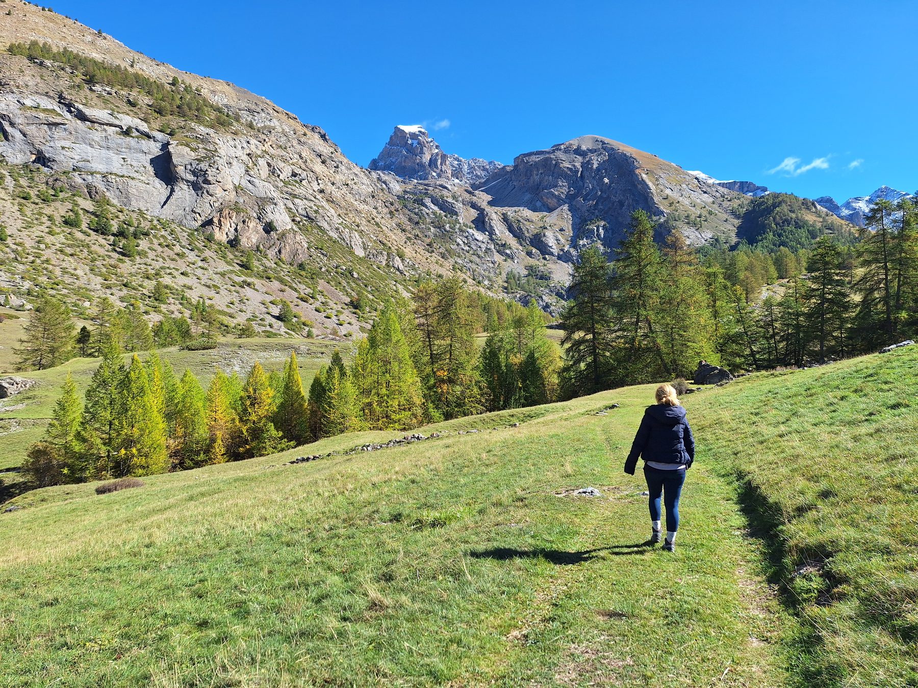 Prati alpini dell'Alta Ubaye